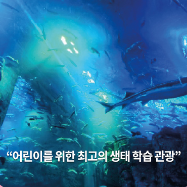 관광지 사진